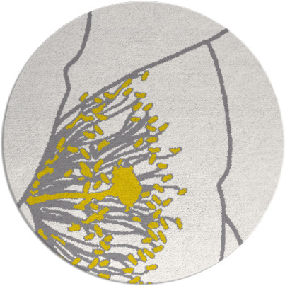 i spy rug - item 612068