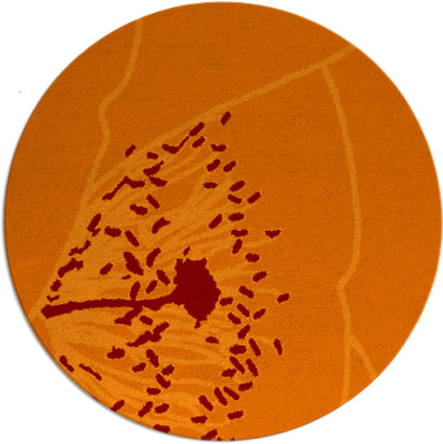 i spy rug - item 612069