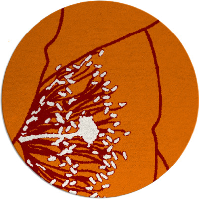 i spy rug - item 612073