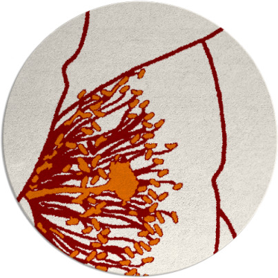 i spy rug - item 612074