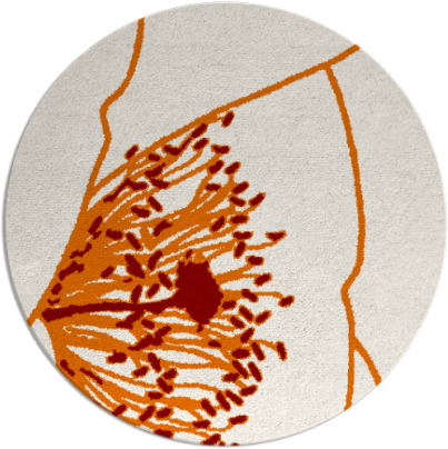 i spy rug - item 612076