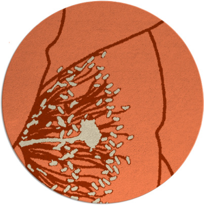 i spy rug - item 612077