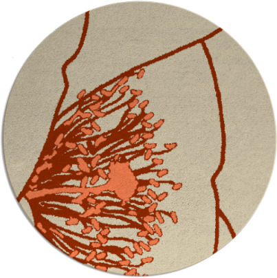 i spy rug - item 612078