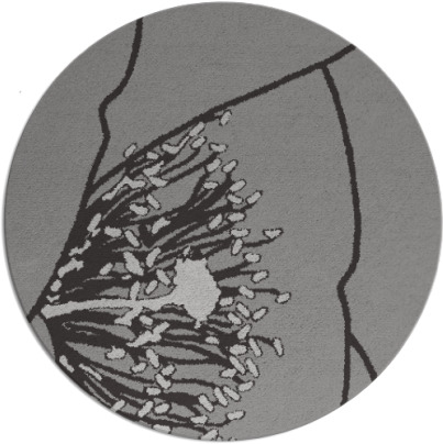 i spy rug - item 612083