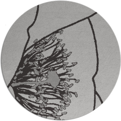 i spy rug - item 612084