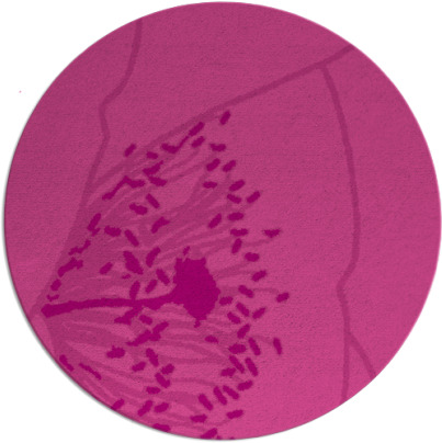 i spy rug - item 612090