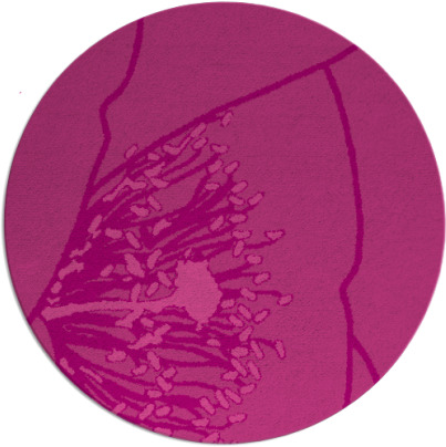 i spy rug - item 612091