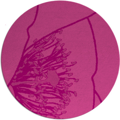 i spy rug - item 612092