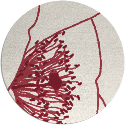 i spy rug - item 612094