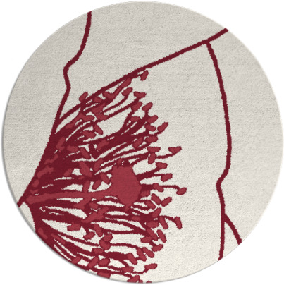 i spy rug - item 612096