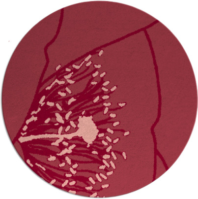 i spy rug - item 612097