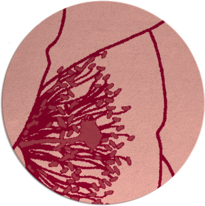 i spy rug - item 612098