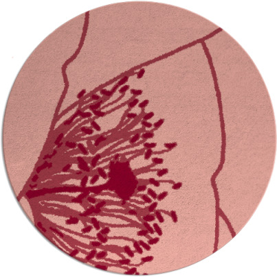 i spy rug - item 612100