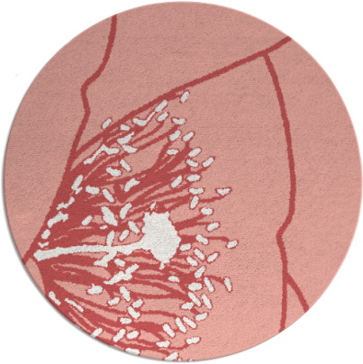 i spy rug - item 612101