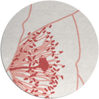 i spy rug - item 612104