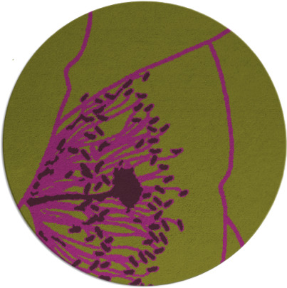 i spy rug - item 612110