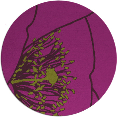 i spy rug - item 612111