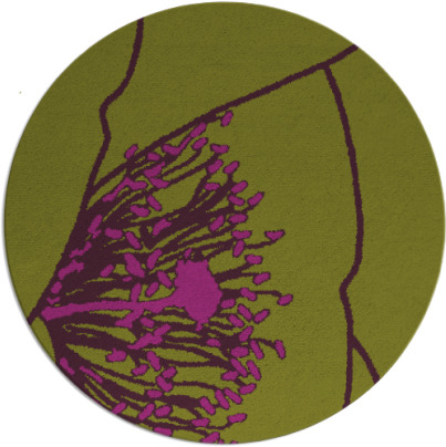 i spy rug - item 612112