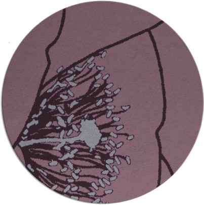 i spy rug - item 612119