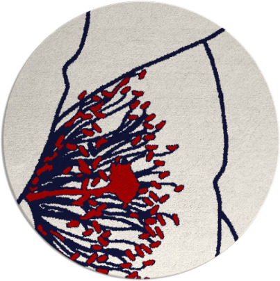 i spy rug - item 612122