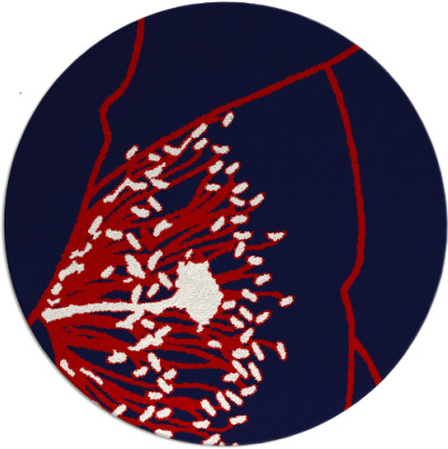 i spy rug - item 612123