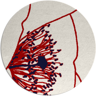 i spy rug - item 612124