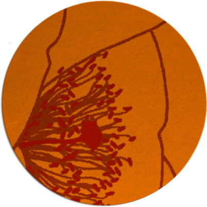 i spy rug - item 612126