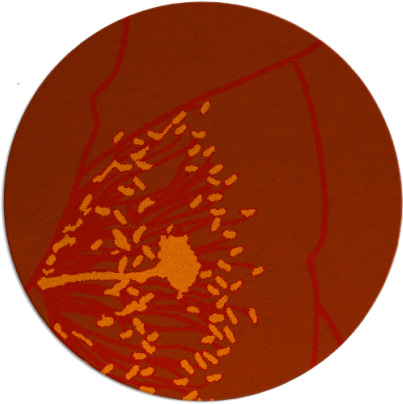 i spy rug - item 612127