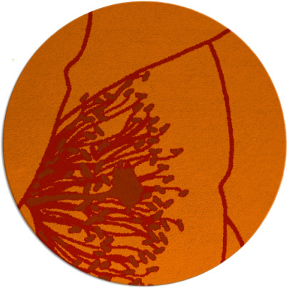 i spy rug - item 612128