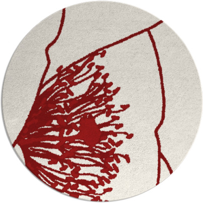 i spy rug - item 612130