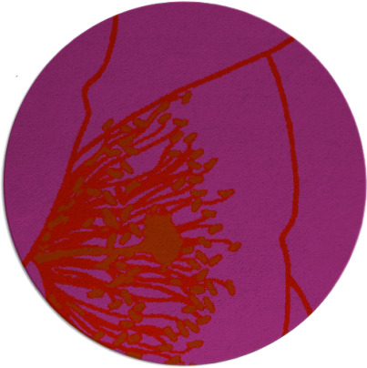 i spy rug - item 612136