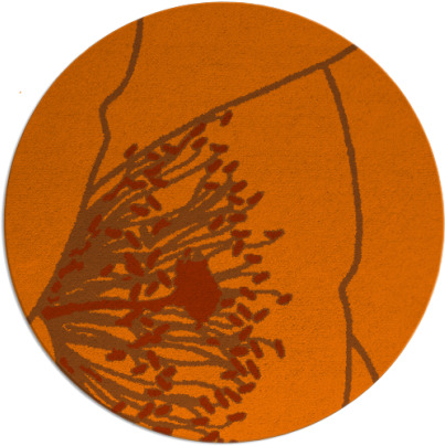 i spy rug - item 612138