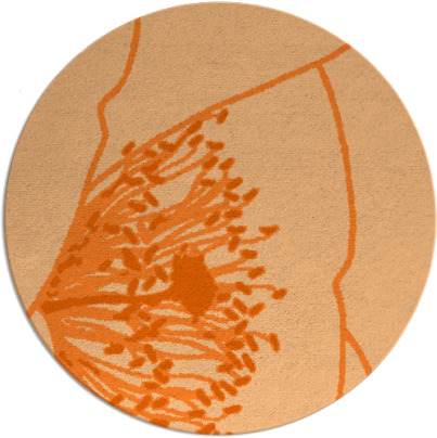 i spy rug - item 612142