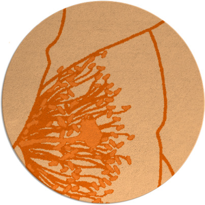 i spy rug - item 612144