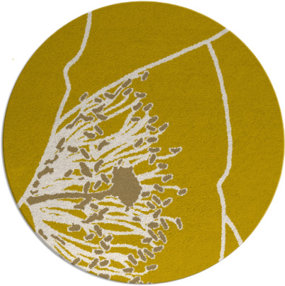 i spy rug - item 612148