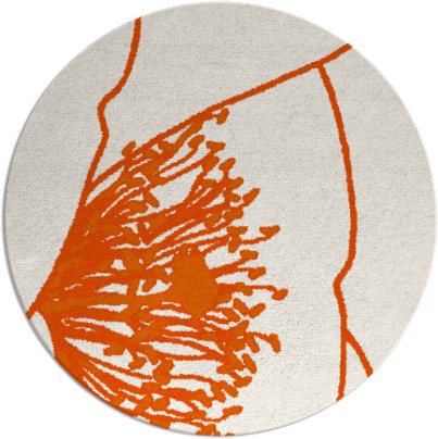 i spy rug - item 612149