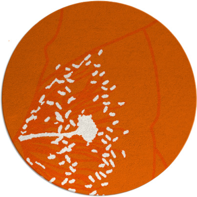 i spy rug - item 612150