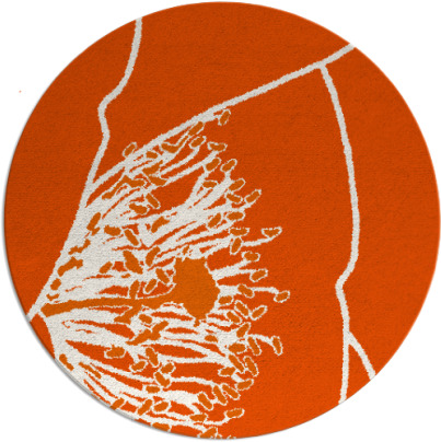 i spy rug - item 612151