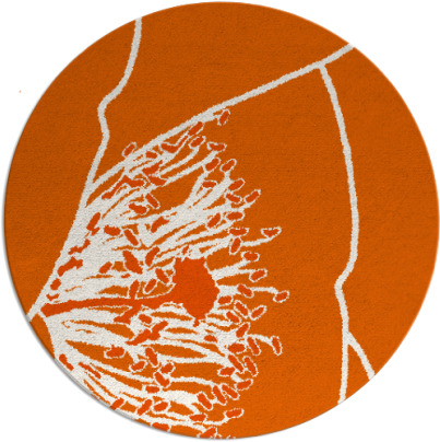 i spy rug - item 612152