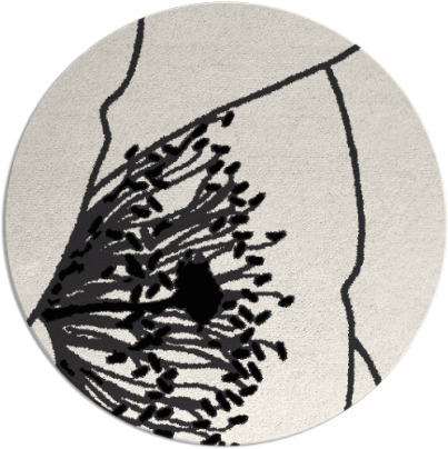 i spy rug - item 612153