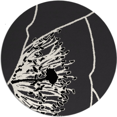 i spy rug - item 612155