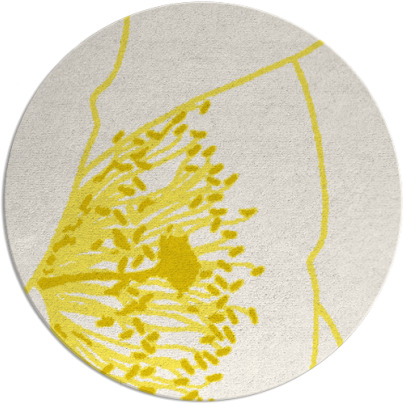 i spy rug - item 612157