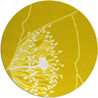 i spy rug - item 612158