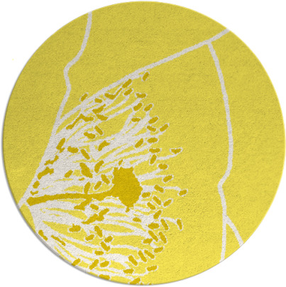 i spy rug - item 612159