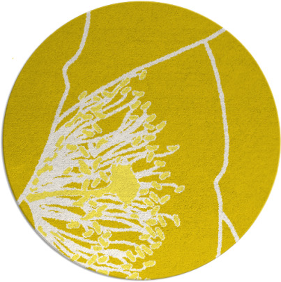 i spy rug - item 612160