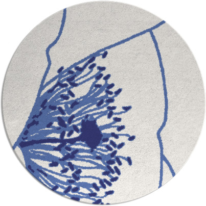 i spy rug - item 612161