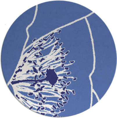 i spy rug - item 612163