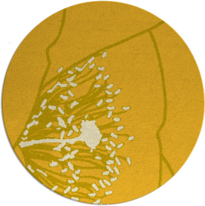 i spy rug - item 612170