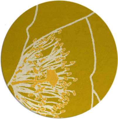 i spy rug - item 612171