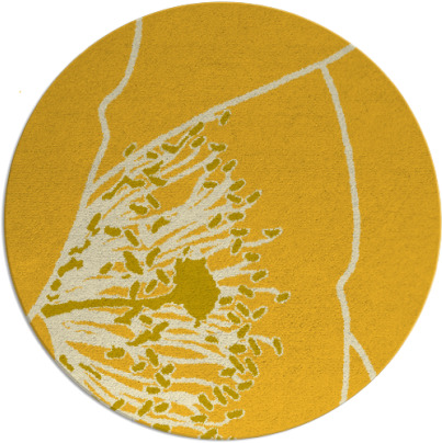 i spy rug - item 612172